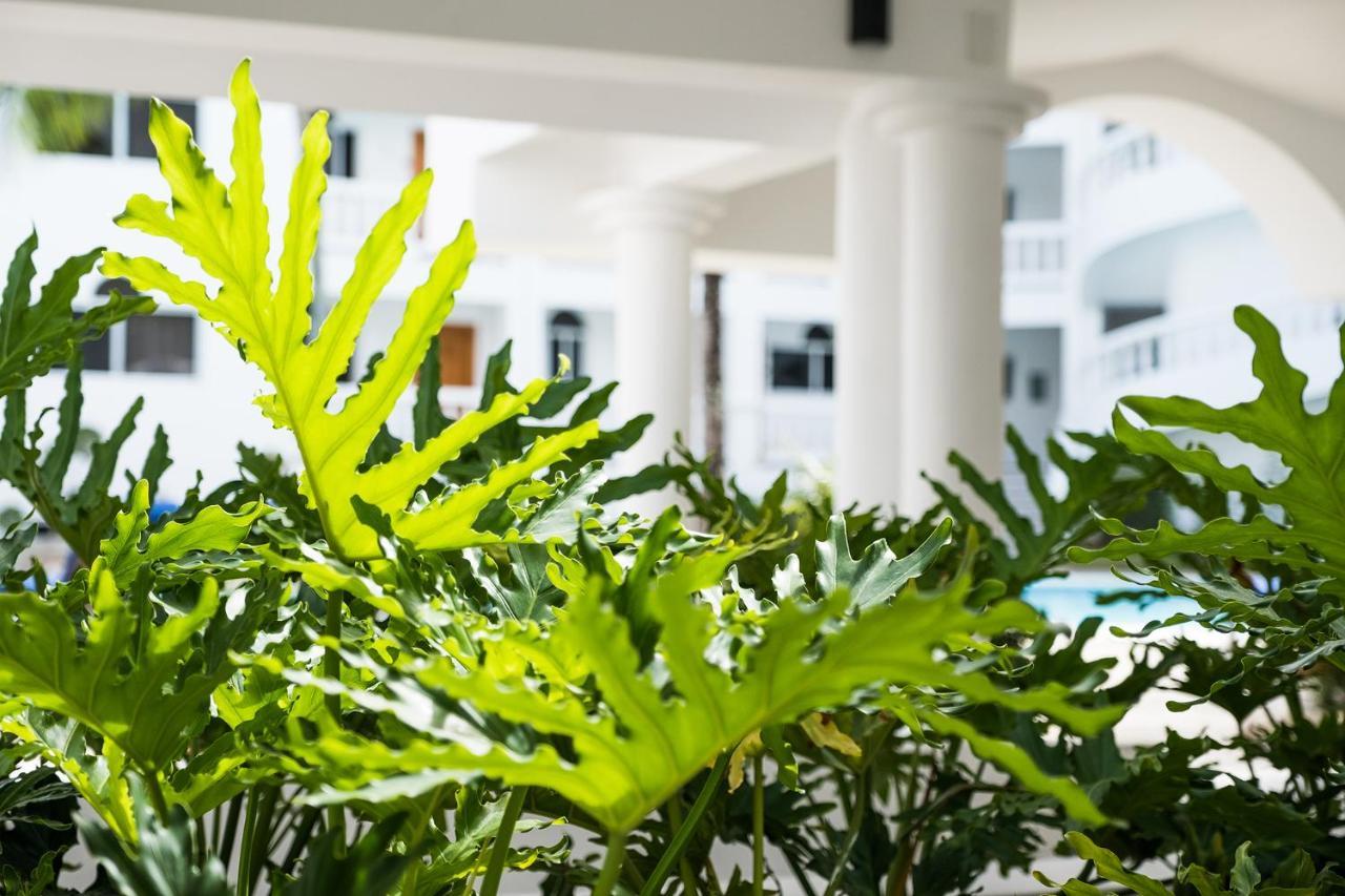 Ocean Palms Residences Кабарете Экстерьер фото